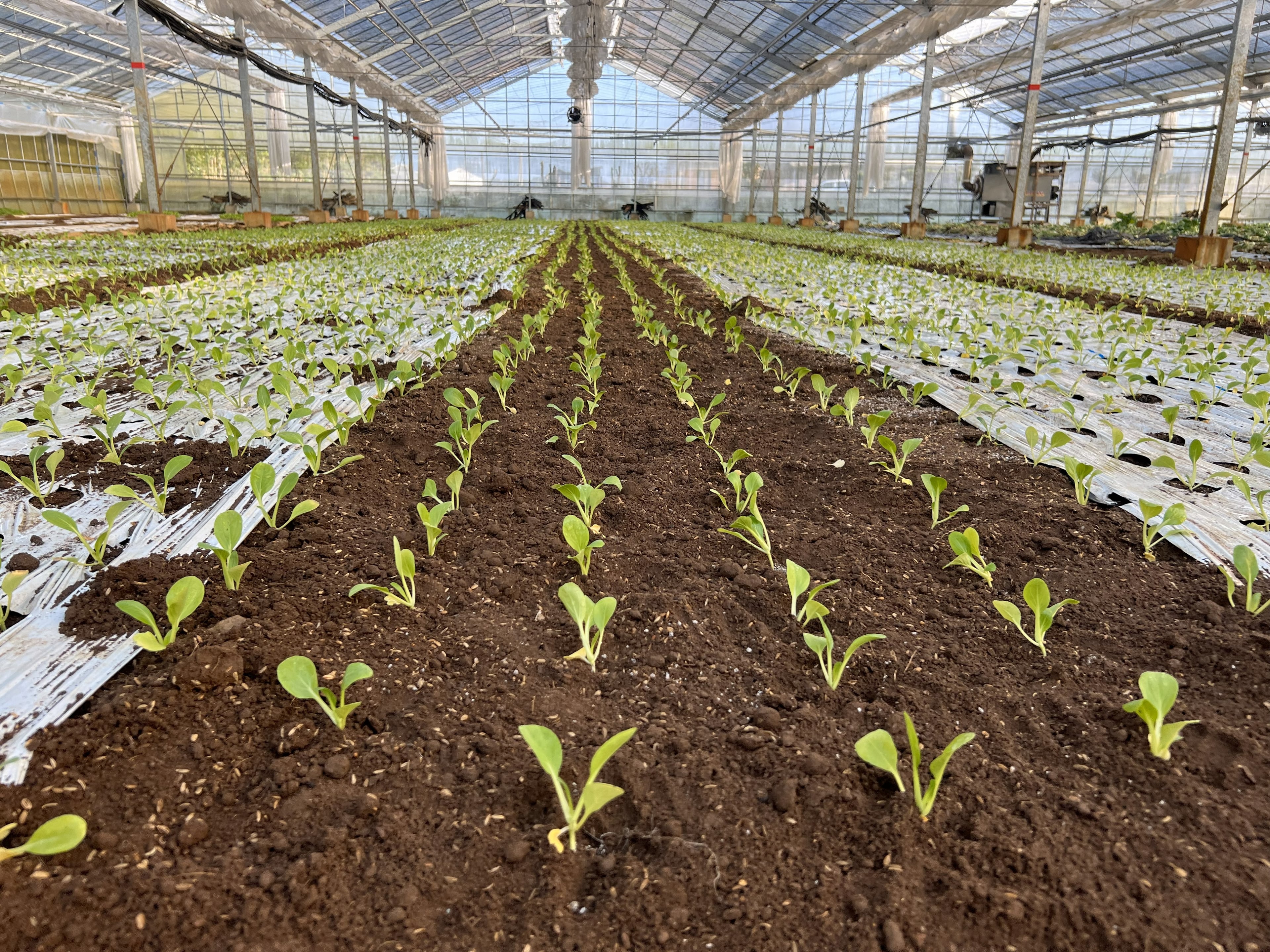 生産体制と品質管理