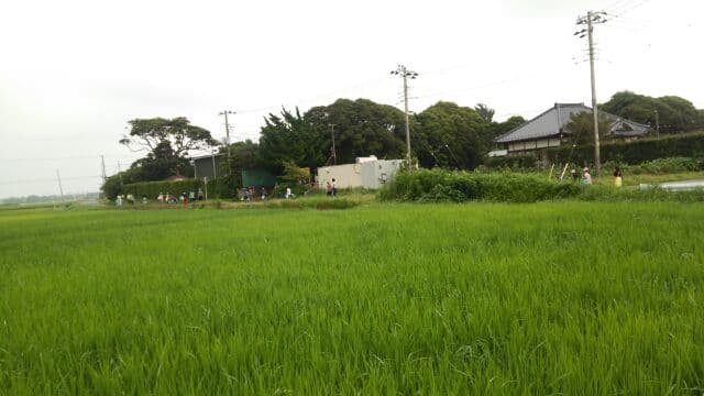 環境保全会 子供会と自然観察会