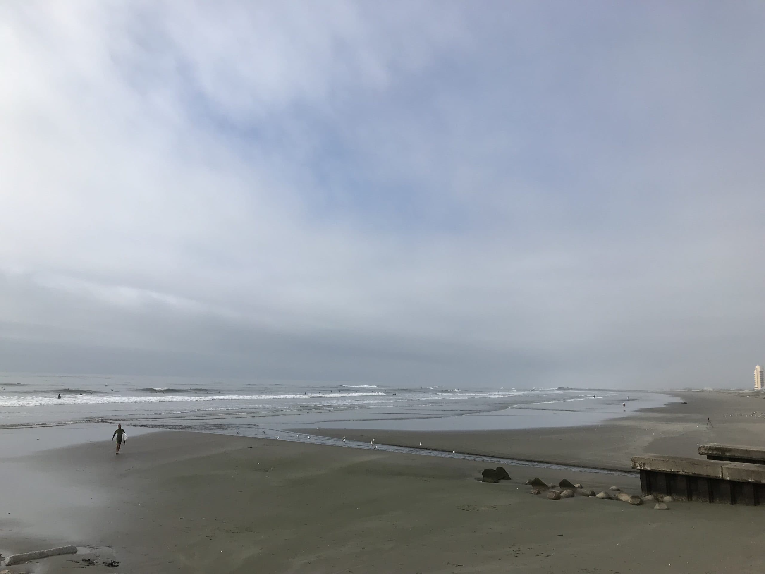 海