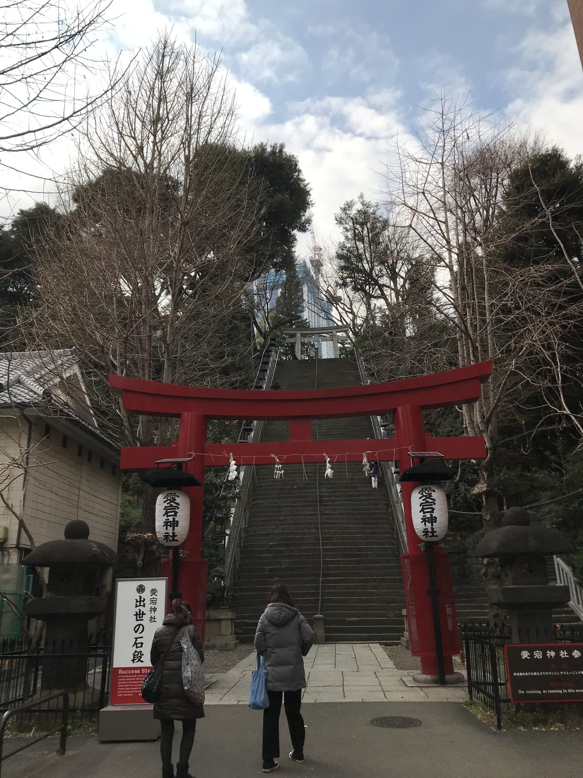 ブログの成果